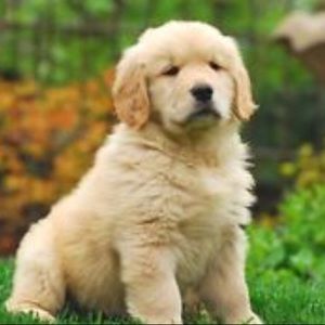 Meet your Posher, Janelle